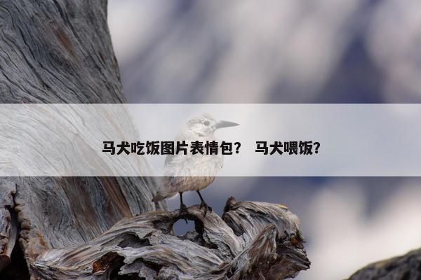 马犬吃饭图片表情包？ 马犬喂饭？