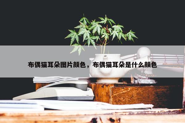 布偶猫耳朵图片颜色，布偶猫耳朵是什么颜色