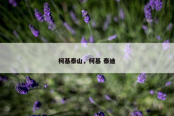 柯基泰山，柯基 泰迪