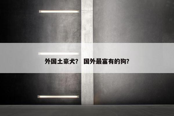 外国土豪犬？ 国外最富有的狗？