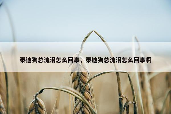 泰迪狗总流泪怎么回事，泰迪狗总流泪怎么回事啊