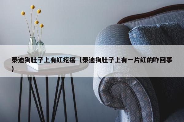 泰迪狗肚子上有红疙瘩（泰迪狗肚子上有一片红的咋回事）
