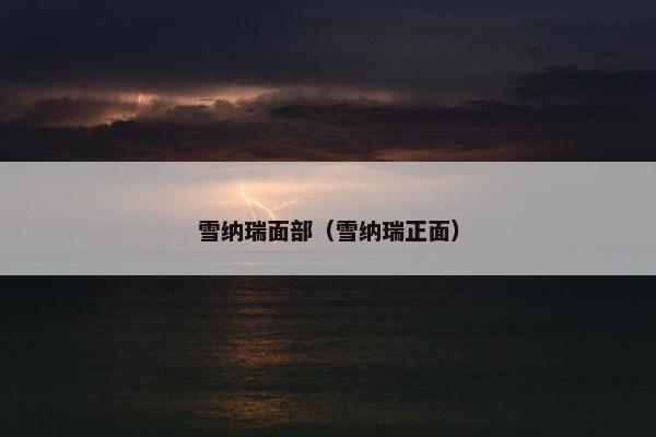 雪纳瑞面部（雪纳瑞正面）