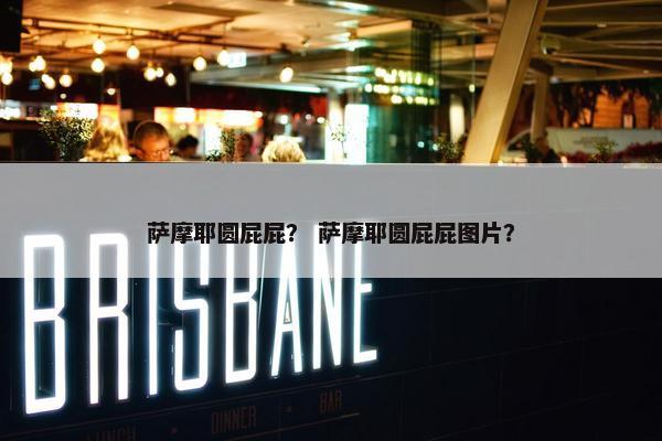 萨摩耶圆屁屁？ 萨摩耶圆屁屁图片？