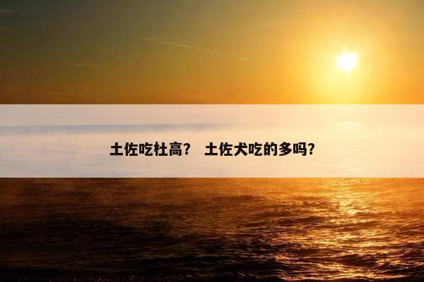 土佐吃杜高？ 土佐犬吃的多吗？