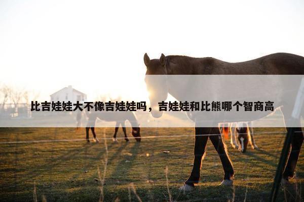 比吉娃娃大不像吉娃娃吗，吉娃娃和比熊哪个智商高