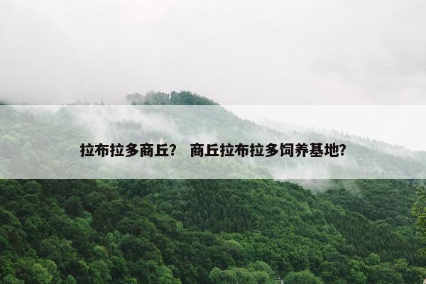 拉布拉多商丘？ 商丘拉布拉多饲养基地？