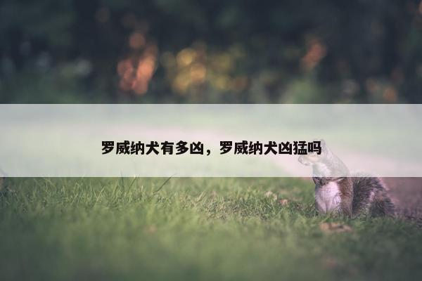 罗威纳犬有多凶，罗威纳犬凶猛吗