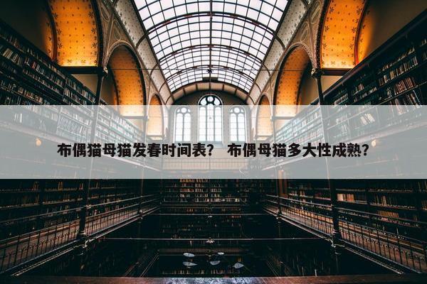 布偶猫母猫发春时间表？ 布偶母猫多大性成熟？