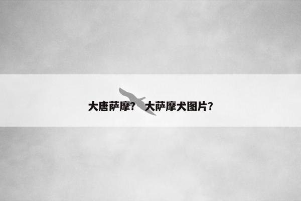 大唐萨摩？ 大萨摩犬图片？