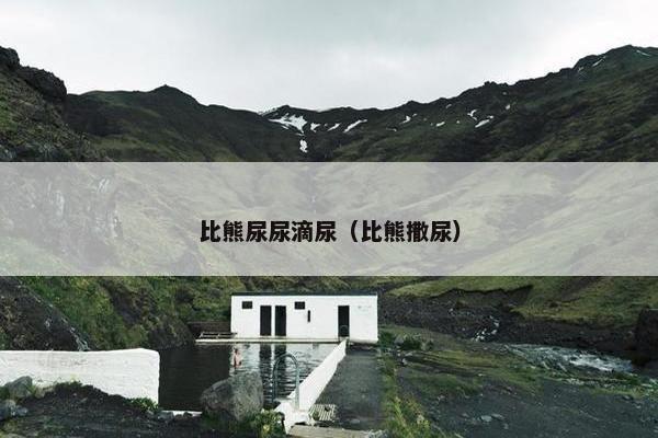 比熊尿尿滴尿（比熊撒尿）