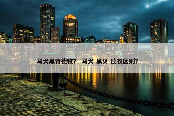 马犬黑背德牧？ 马犬 黑贝 德牧区别？