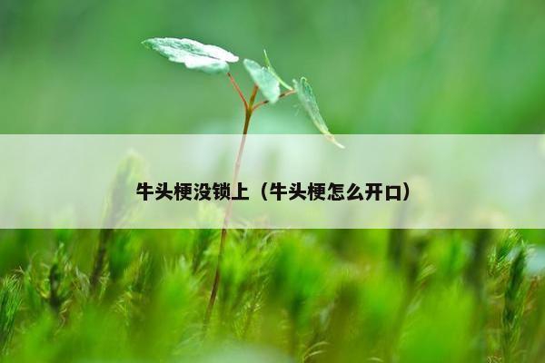 牛头梗没锁上（牛头梗怎么开口）