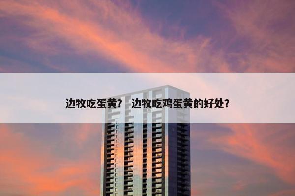 边牧吃蛋黄？ 边牧吃鸡蛋黄的好处？