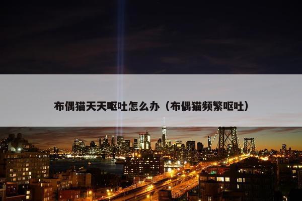 布偶猫天天呕吐怎么办（布偶猫频繁呕吐）