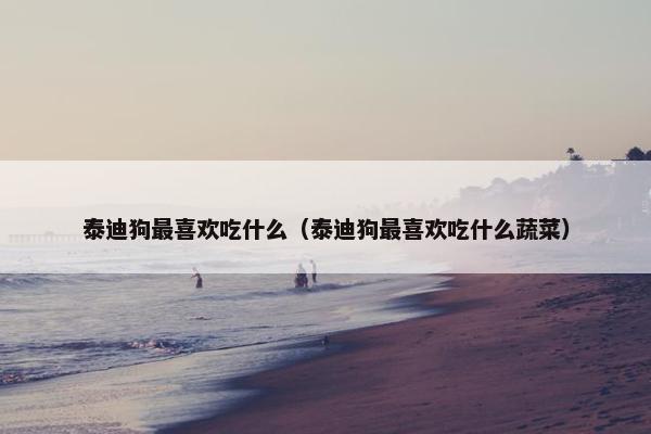 泰迪狗最喜欢吃什么（泰迪狗最喜欢吃什么蔬菜）
