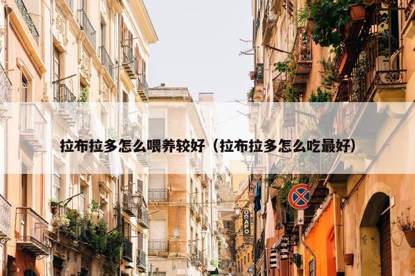 拉布拉多怎么喂养较好（拉布拉多怎么吃最好）