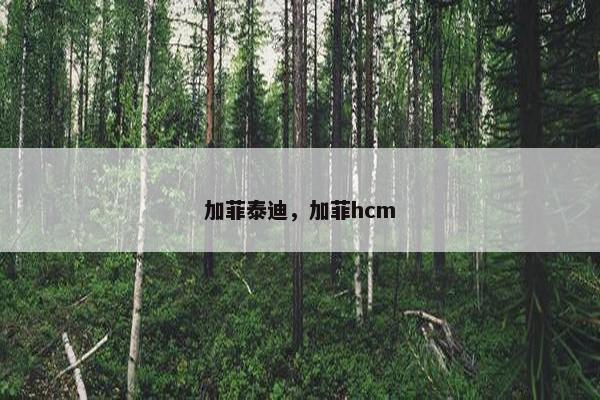 加菲泰迪，加菲hcm