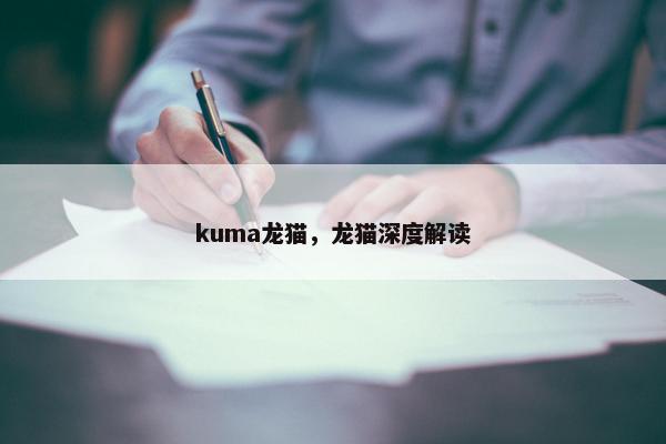 kuma龙猫，龙猫深度解读