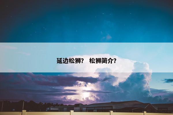 延边松狮？ 松狮简介？