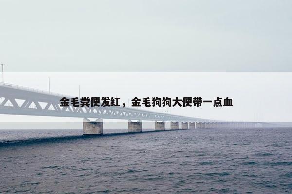 金毛粪便发红，金毛狗狗大便带一点血