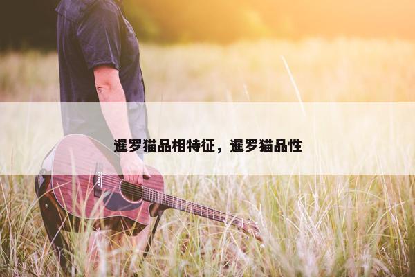 暹罗猫品相特征，暹罗猫品性