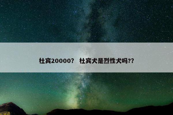 杜宾20000？ 杜宾犬是烈性犬吗?？