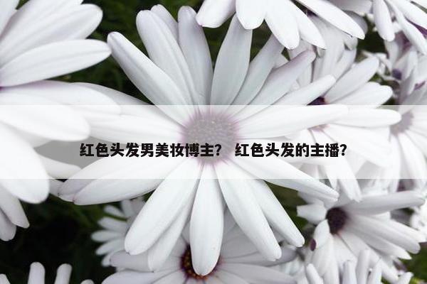 红色头发男美妆博主？ 红色头发的主播？