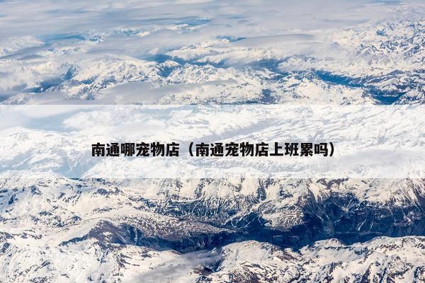 南通哪宠物店（南通宠物店上班累吗）