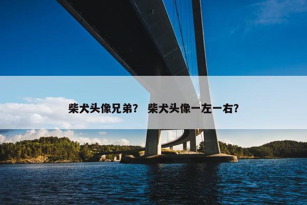 柴犬头像兄弟？ 柴犬头像一左一右？