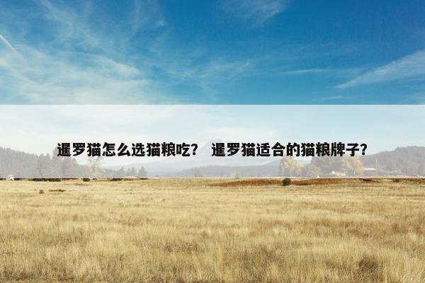 暹罗猫怎么选猫粮吃？ 暹罗猫适合的猫粮牌子？