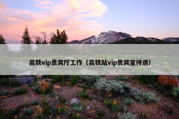 高铁vip贵宾厅工作（高铁站vip贵宾室待遇）