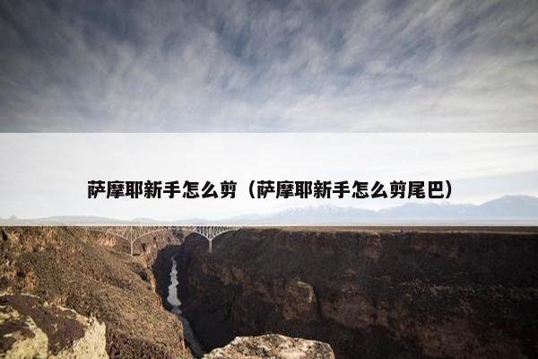 萨摩耶新手怎么剪（萨摩耶新手怎么剪尾巴）