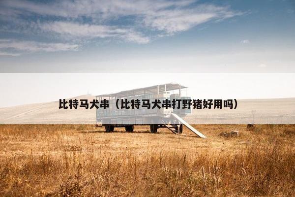 比特马犬串（比特马犬串打野猪好用吗）