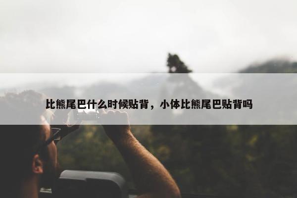 比熊尾巴什么时候贴背，小体比熊尾巴贴背吗