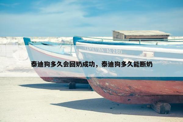 泰迪狗多久会回奶成功，泰迪狗多久能断奶