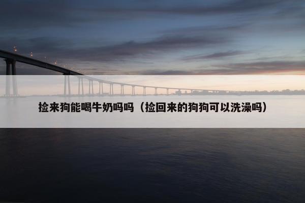 捡来狗能喝牛奶吗吗（捡回来的狗狗可以洗澡吗）