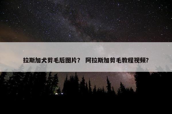 拉斯加犬剪毛后图片？ 阿拉斯加剪毛教程视频？