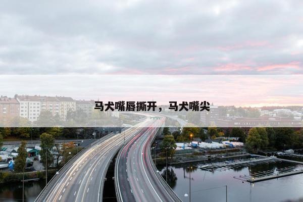 马犬嘴唇撕开，马犬嘴尖