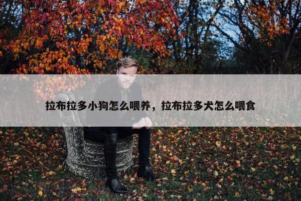 拉布拉多小狗怎么喂养，拉布拉多犬怎么喂食