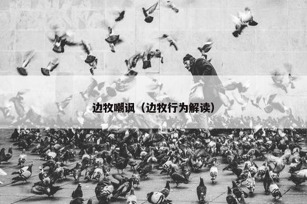 边牧嘲讽（边牧行为解读）