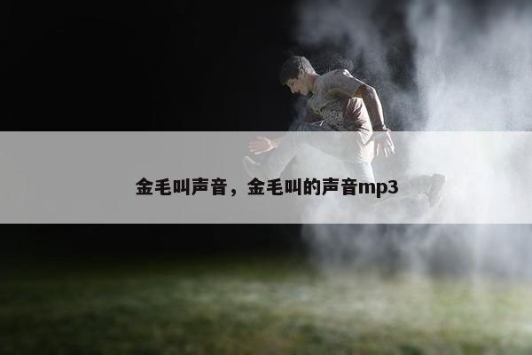 金毛叫声音，金毛叫的声音mp3