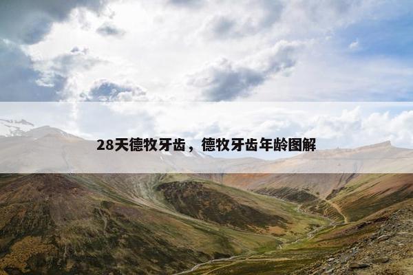 28天德牧牙齿，德牧牙齿年龄图解