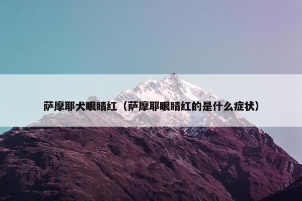 萨摩耶犬眼睛红（萨摩耶眼睛红的是什么症状）