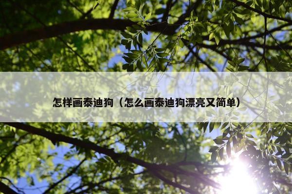 怎样画泰迪狗（怎么画泰迪狗漂亮又简单）