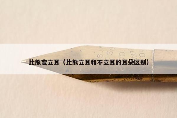 比熊变立耳（比熊立耳和不立耳的耳朵区别）