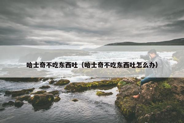 哈士奇不吃东西吐（哈士奇不吃东西吐怎么办）