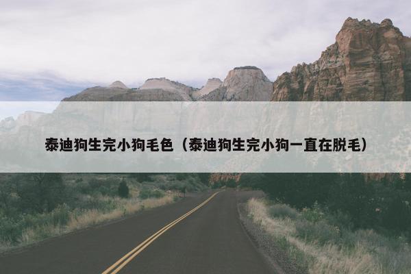 泰迪狗生完小狗毛色（泰迪狗生完小狗一直在脱毛）