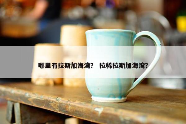 哪里有拉斯加海湾？ 拉稀拉斯加海湾？