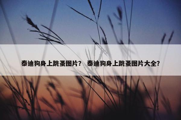 泰迪狗身上跳蚤图片？ 泰迪狗身上跳蚤图片大全？